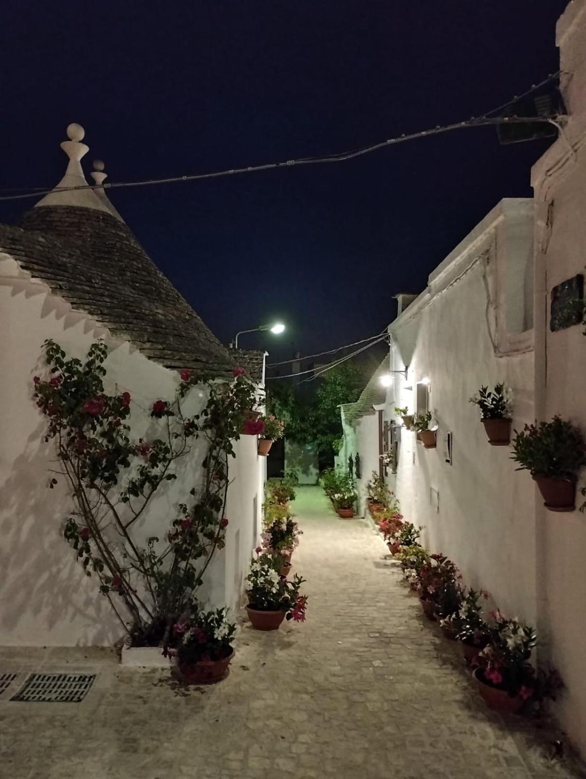 Trullo "Vicolo Fiorito" Villa Alberobello Buitenkant foto