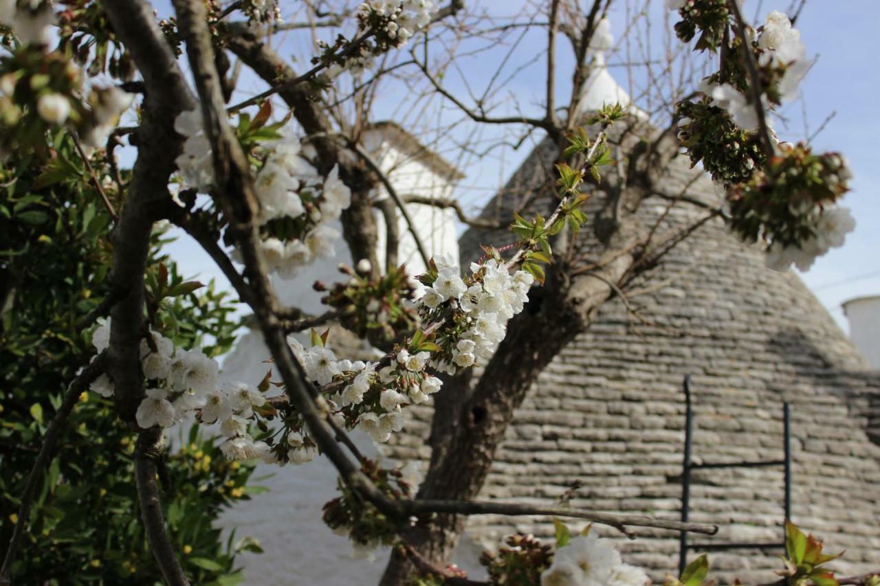 Trullo "Vicolo Fiorito" Villa Alberobello Buitenkant foto
